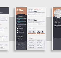 Option#4 Signature Résumé Applicant Packet